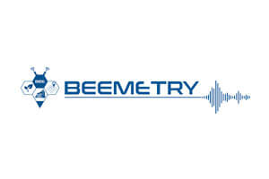 Logo Beemetry Resized
