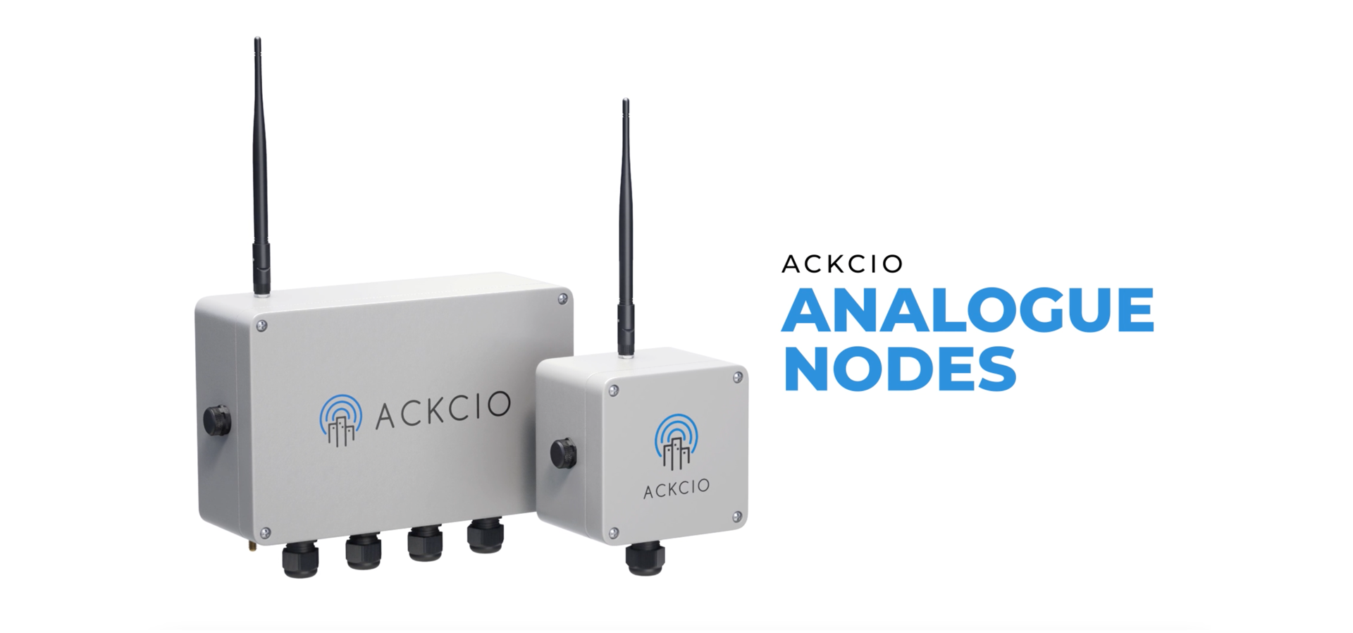 Ackcio Analogue Node Video Image
