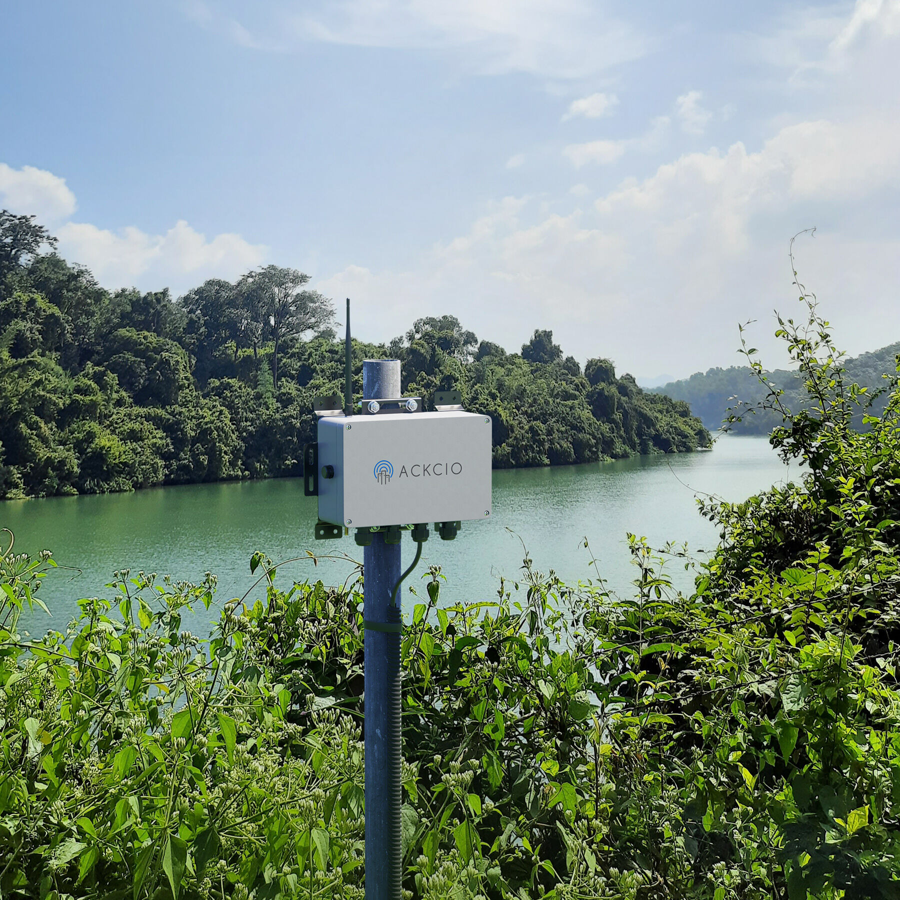 Dg River Clear